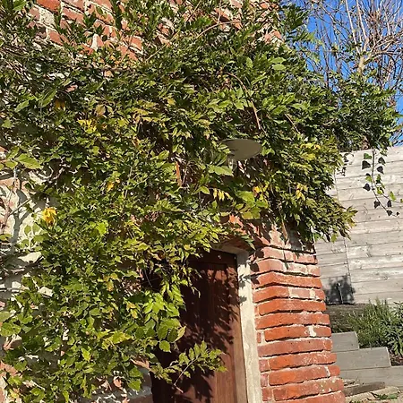 La Casa Di Noah Bene Vagienna