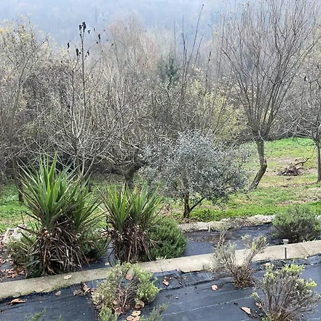 La Casa Di Noah Tatil Evi Bene Vagienna
