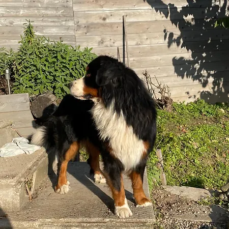 La Casa Di Noah * Bene Vagienna
