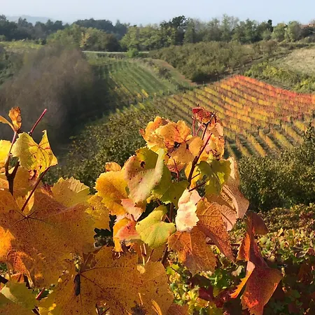 La Casa Di Noah * Bene Vagienna