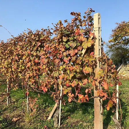 Casa vacanze La Casa Di Noah Bene Vagienna