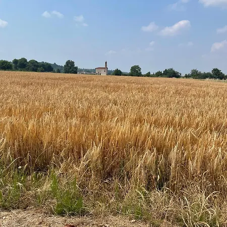 La Casa Di Noah Casa vacanze Bene Vagienna