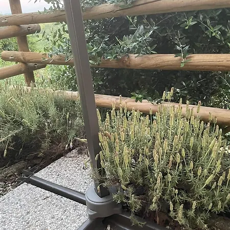 Casa vacanze La Casa Di Noah