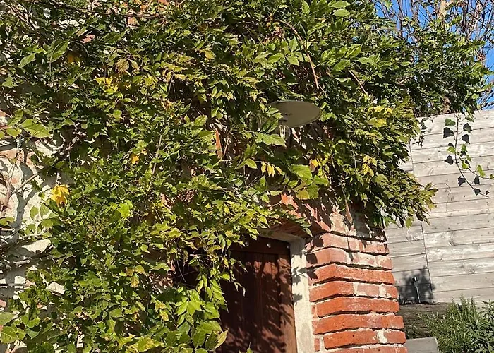 La Casa Di Noah Lequio Tanaro