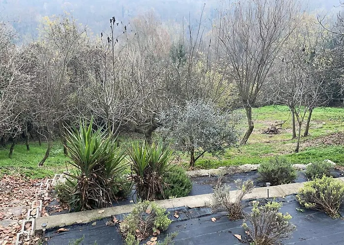 La Casa Di Noah Casa de Férias Lequio Tanaro