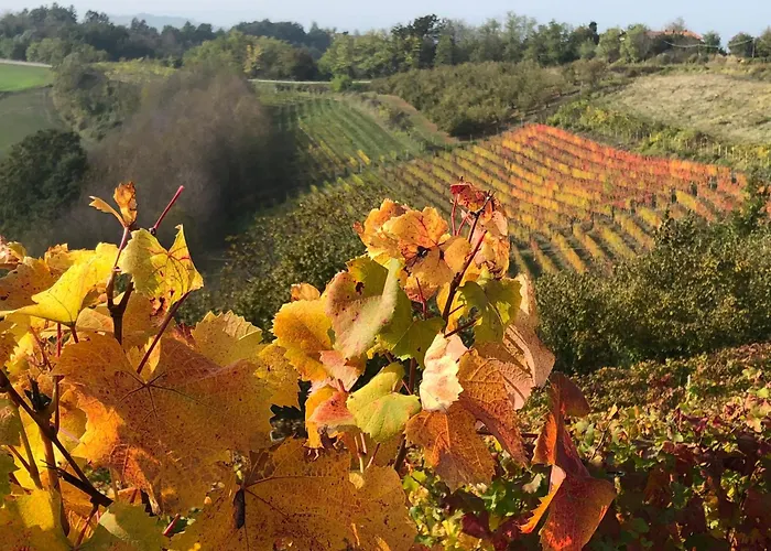 La Casa Di Noah * Lequio Tanaro