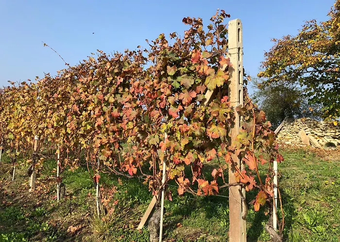 Casa de Férias La Casa Di Noah Lequio Tanaro