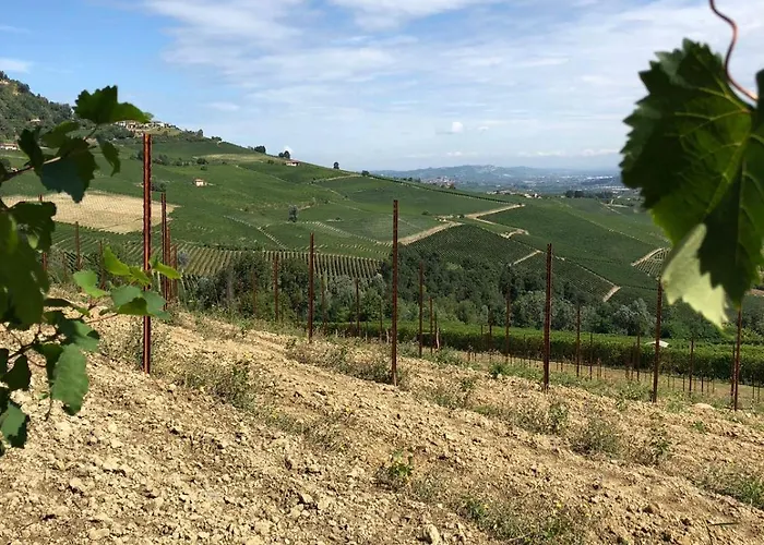La Casa Di Noah Lequio Tanaro