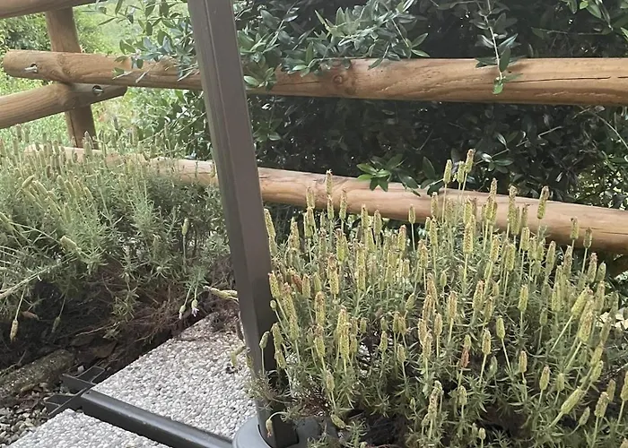 Casa de Férias La Casa Di Noah