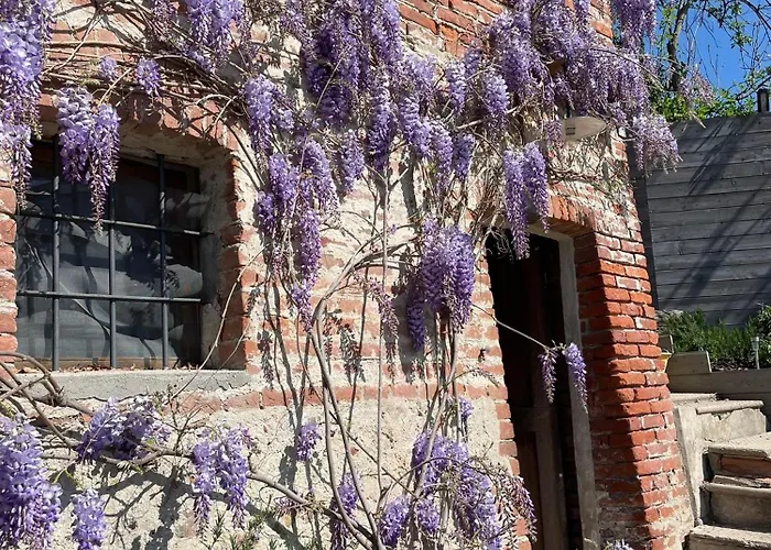 La Casa Di Noah Feriehus Lequio Tanaro